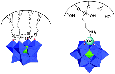 Functionalization and post-functionalization: a step towards