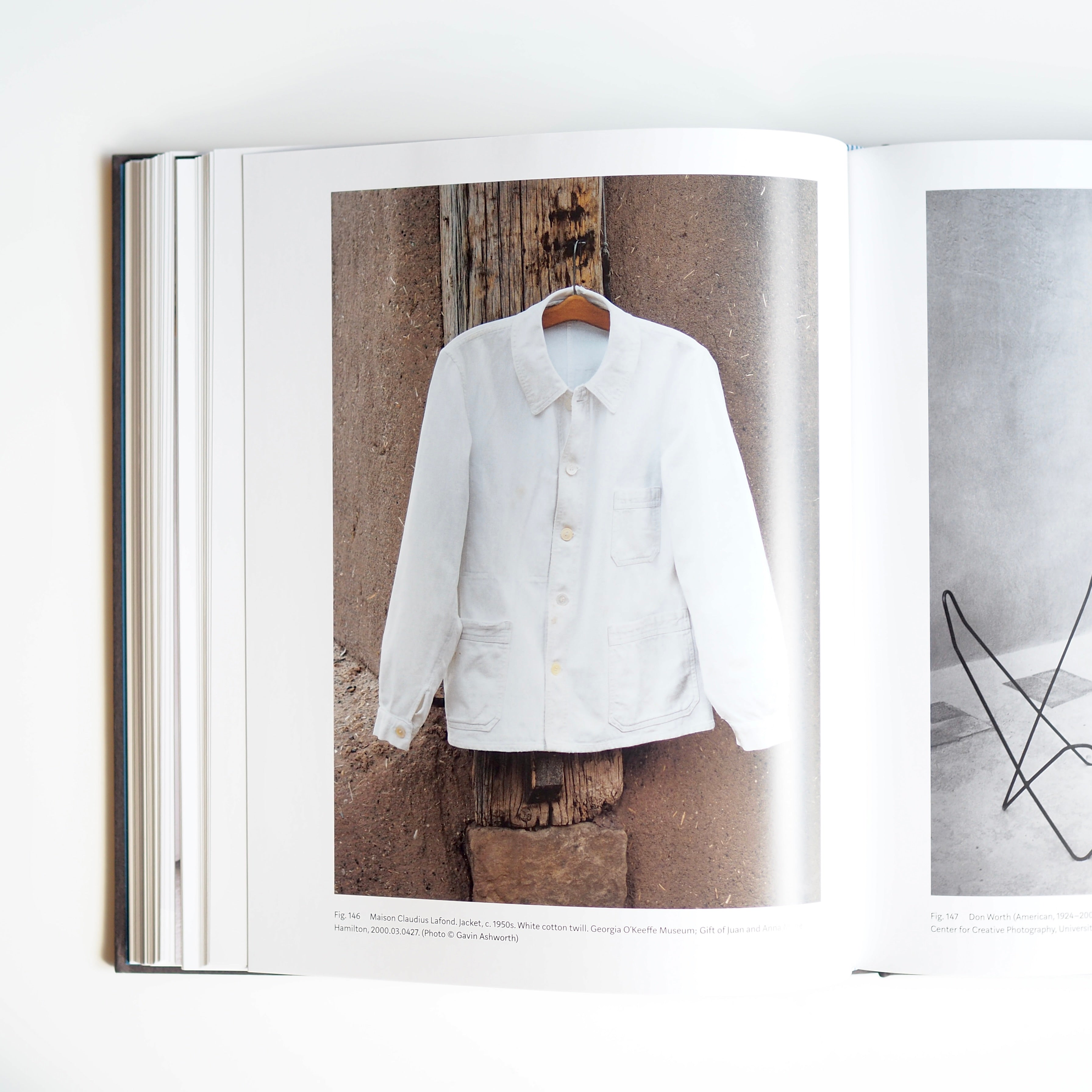 GEORGIA O'KEEFFE : LIVING MODERN [used]