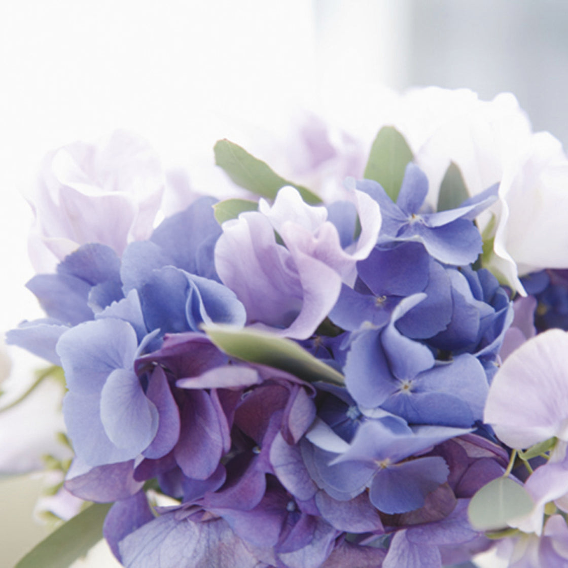 シャンプー＆トリートメントセット（プレミアムフラワー） – モア