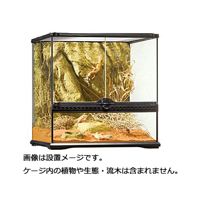 楽天市場】【全国送料無料】GEX エキゾテラ グラステラリウムPRO 3045