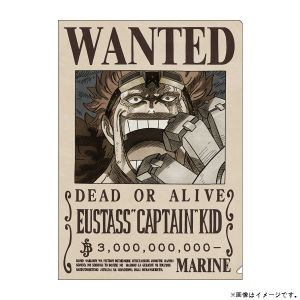 ワンピース】手配書クリアファイル チョッパー 1000: ステーショナリー