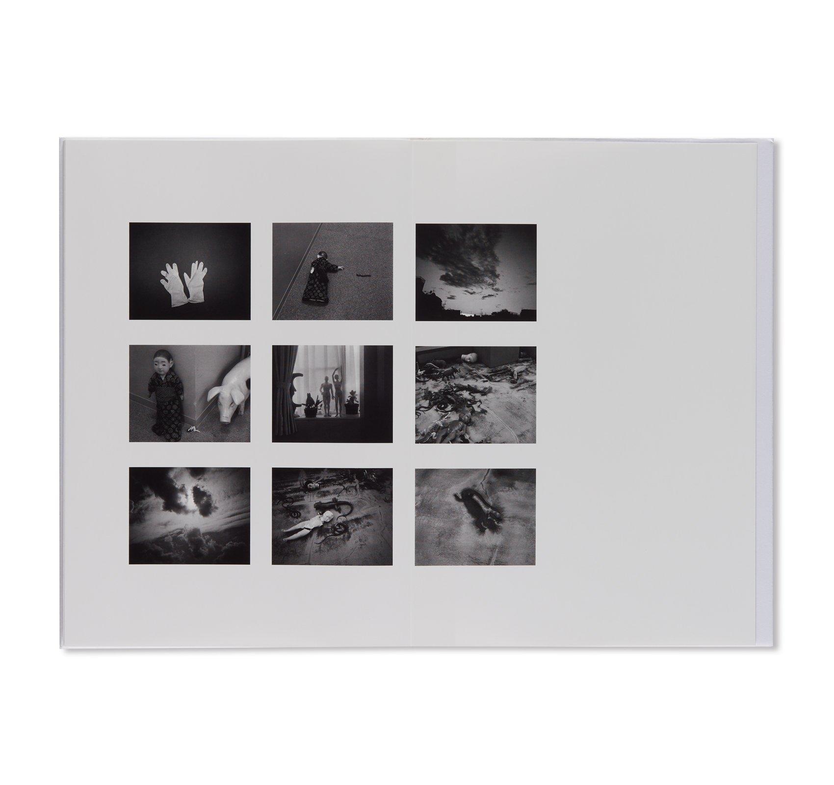 UMEGAOKA ELEGY 梅ヶ丘墓情 荒木経惟 TAKA ISHII GALLERY -の商品詳細