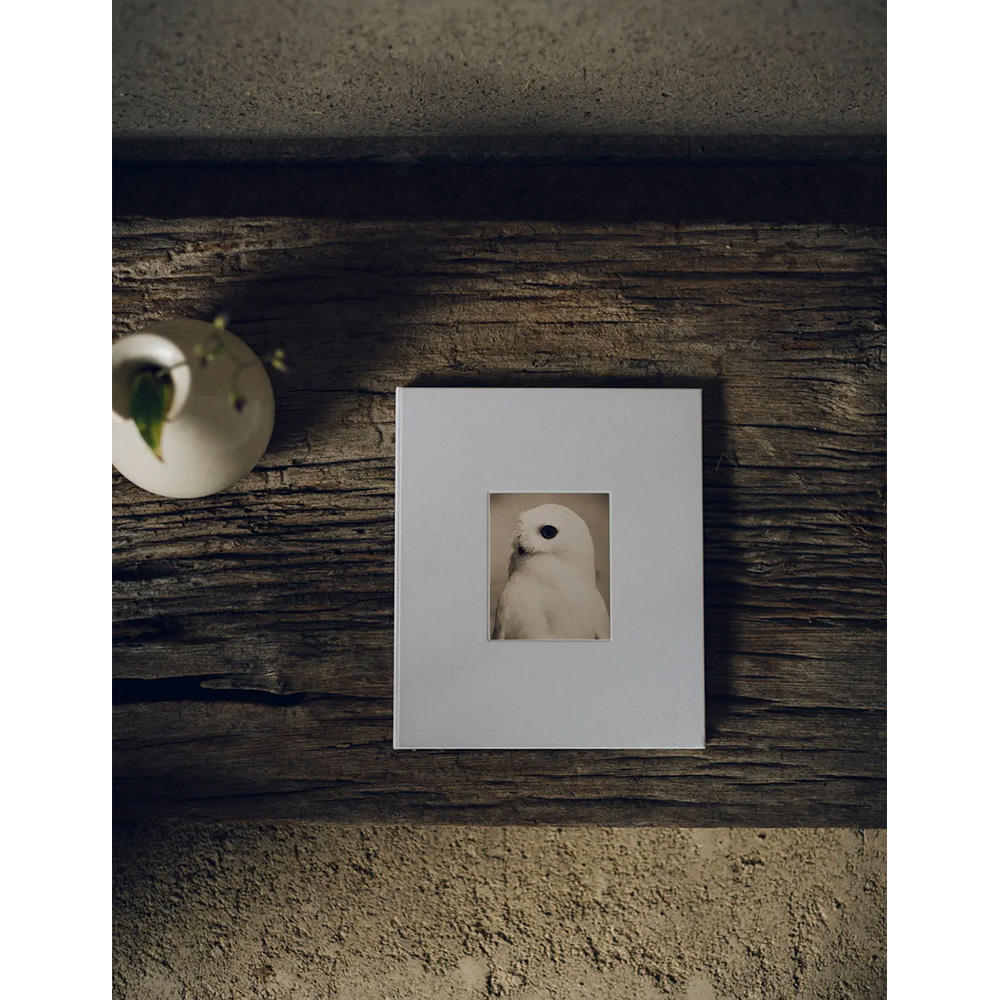 初版1000部限定】Yamamoto Masao 山本昌男 写真集 山本昌男 -の商品