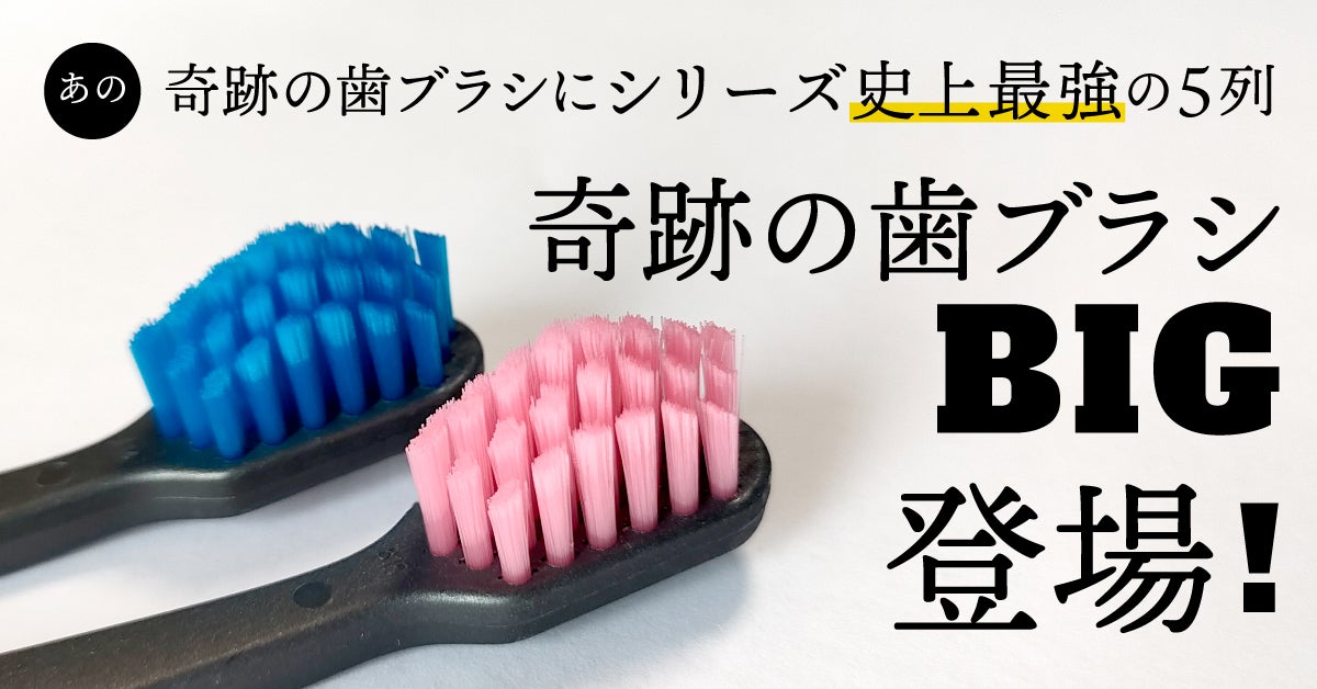 累計2,000万本突破！大ヒット「奇跡の歯ブラシ」が5列のBIGサイズで新