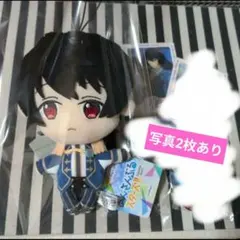 2026年最新】あんスタ 中国 ぬいぐるみ 凛月の人気アイテム - メルカリ