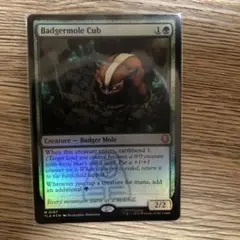 2026年最新】アナグマモグラの仔の人気アイテム - メルカリ