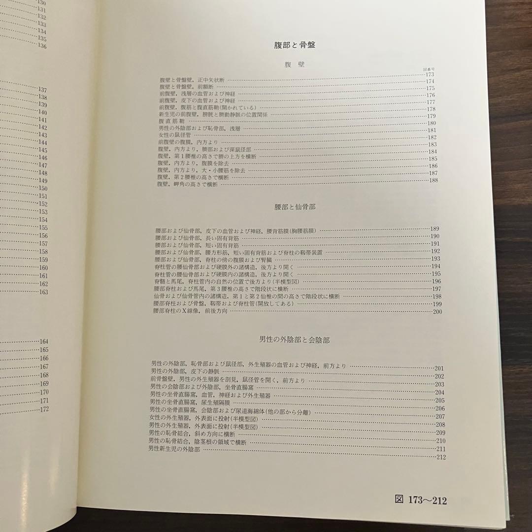 臨床応用局所解剖図譜 第2巻Pernkopf 解剖学アトラス ペルンコップ