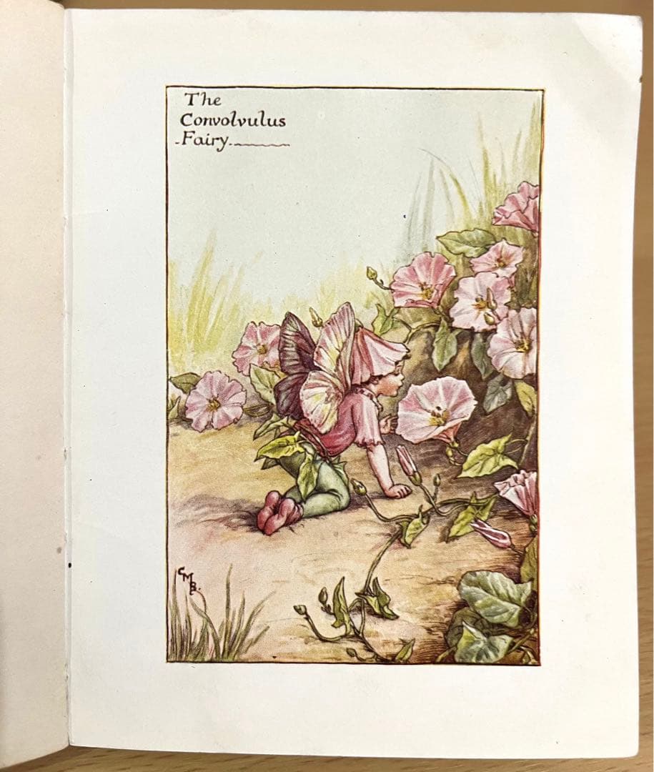 No.261 希少 古書 洋書 絵本 花の妖精 フラワー フェアリーズ - メルカリ