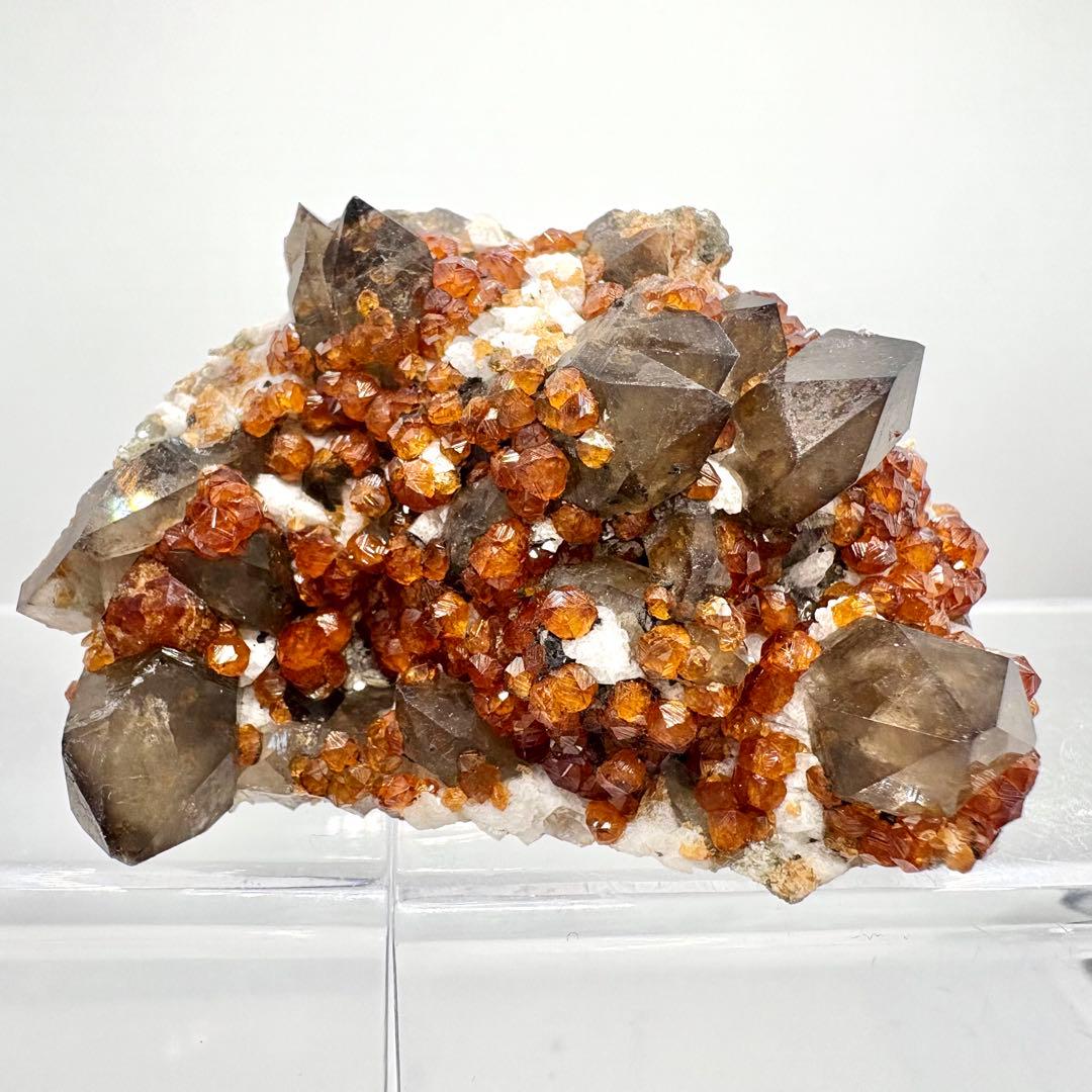 555 中国福建省産　ガーネット&スモーキークォーツ The Stone of WAKOU) 中国 福建省 スぺサルチンガーネット