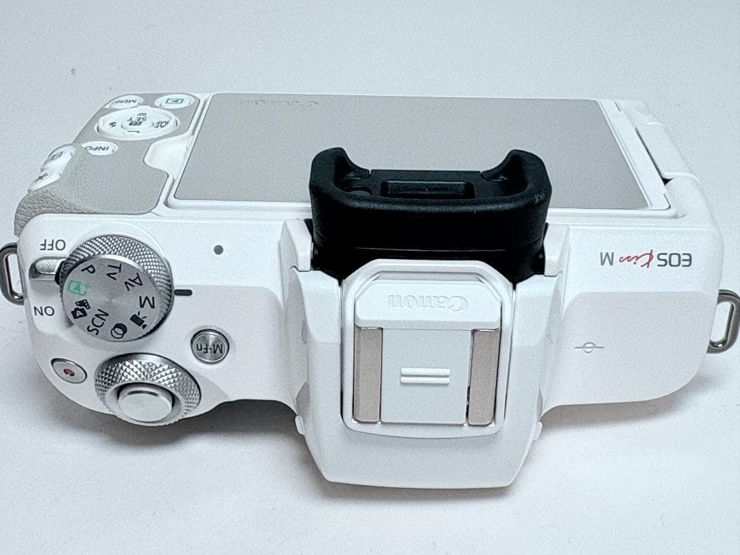 保証有 LUMIX GF10 望遠レンズセット EFレンズ遊びも可能 Panasonic DC