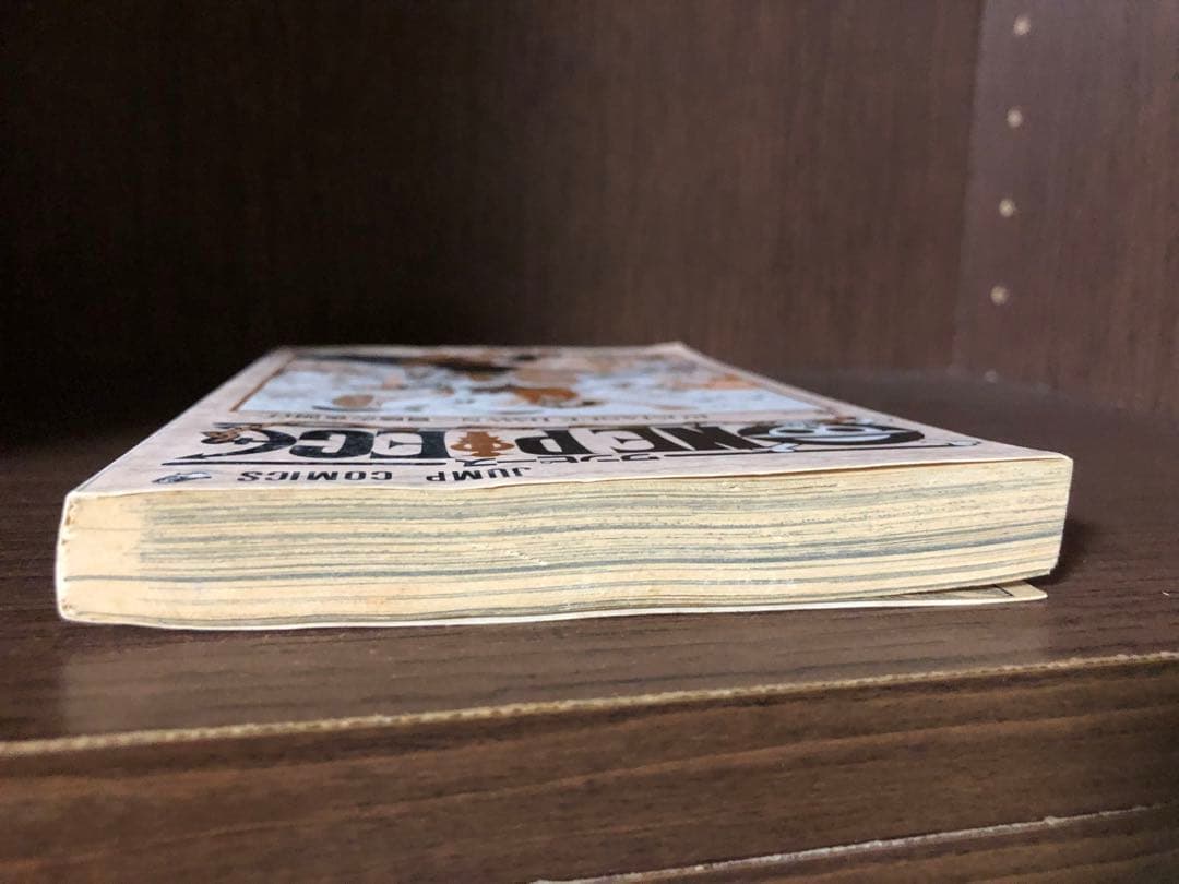 初版 ONE PIECE ワンピース 1巻 1997年12月29日発行 第1刷 - メルカリ