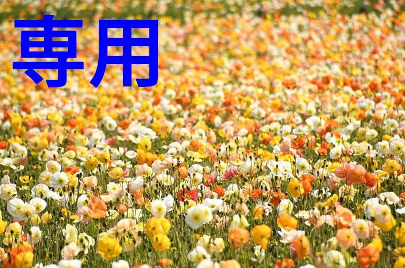 ライズさん専用 ライズ Z（052018843323）の中古車 | トヨタ認定中古車 | トヨタ自動車