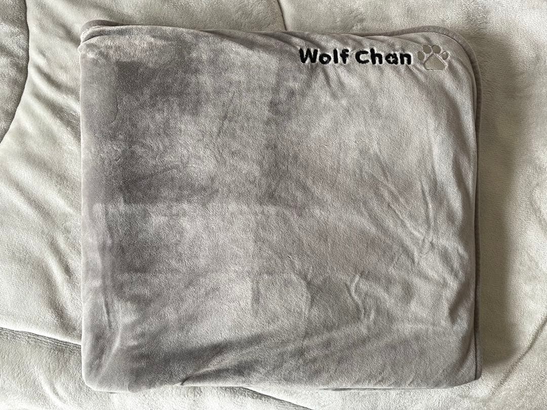 Stray Kids ブランケット XMAS POPUP 2023 ウルフチャン - メルカリ