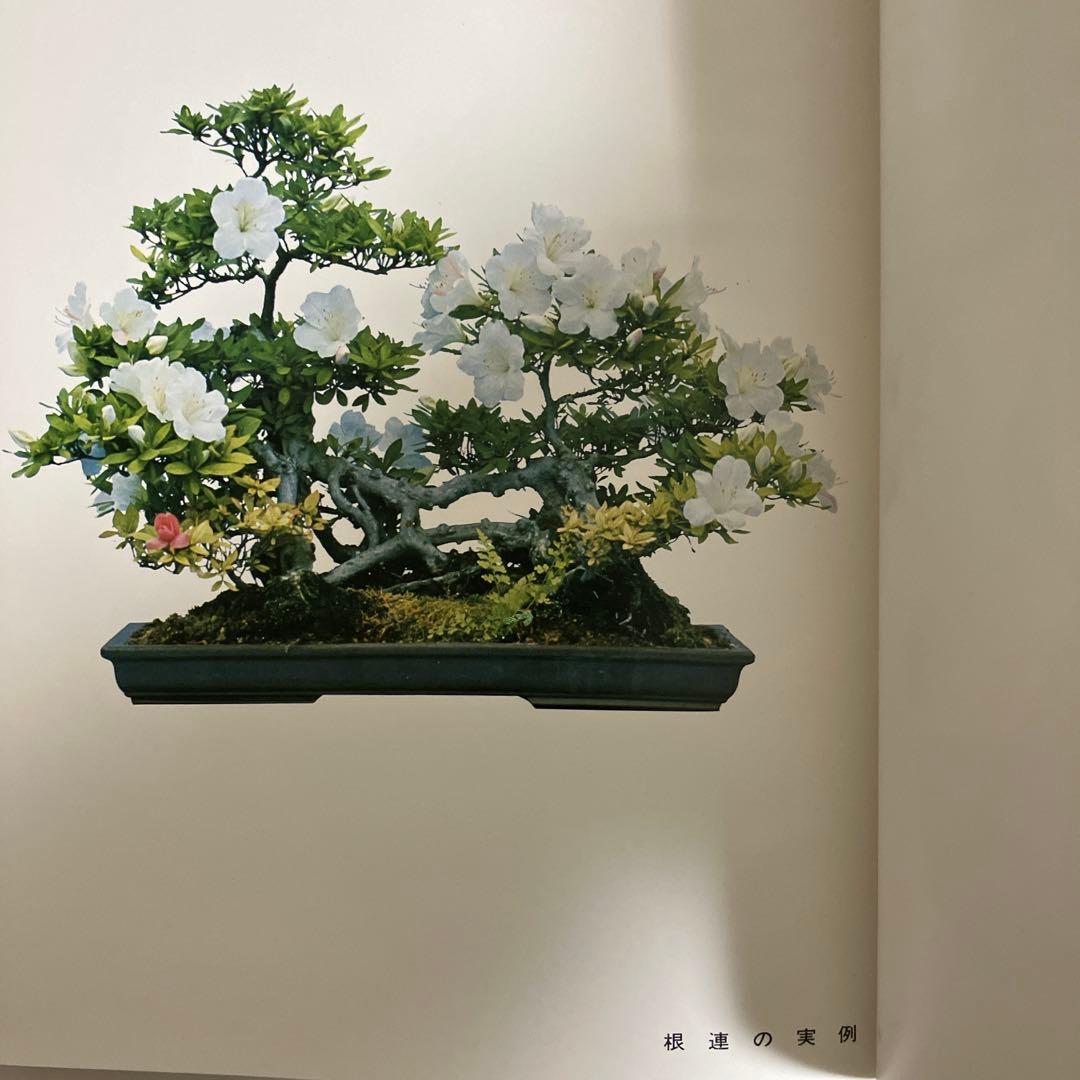 高等教範 盆栽の基本樹形 上下巻 中津千吉 - 趣味・スポーツ・実用販売 中