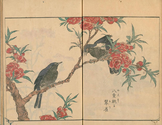 浮世絵師・北尾重政の花鳥写真図彙