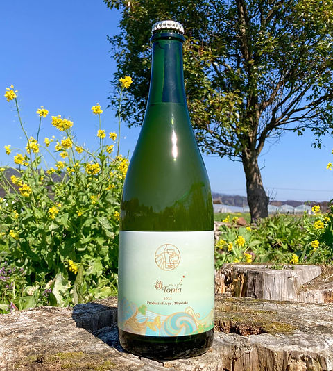 2022 AyaTopia 綾トピア | katsukiwines
